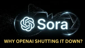 sora shutdown reasons